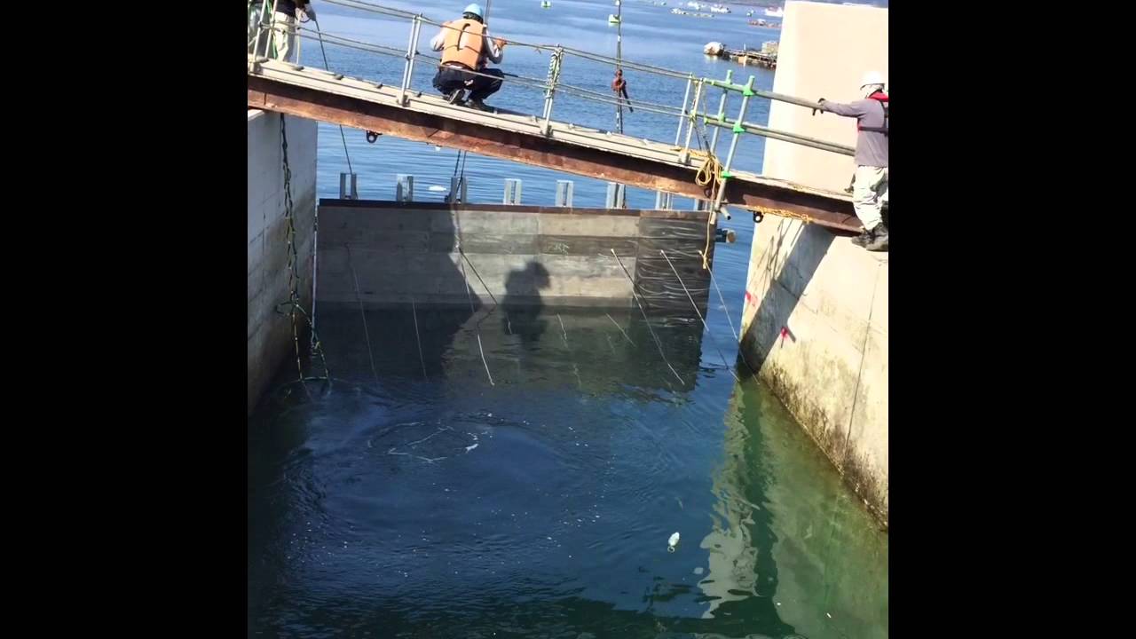 My Movie 2鹿児島海潟漁港水中コンクリートセパレスフォーム使用