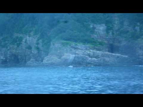 甑島セパレスフォーム